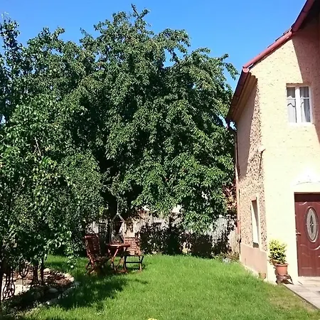 Saslun * Kolesov