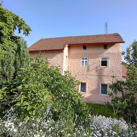 Apartment Saslun Kolesov