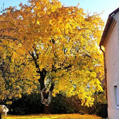 Saslun Апартаменты *