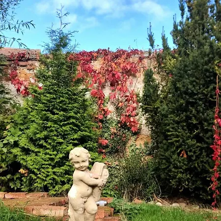 Апартаменты Saslun *